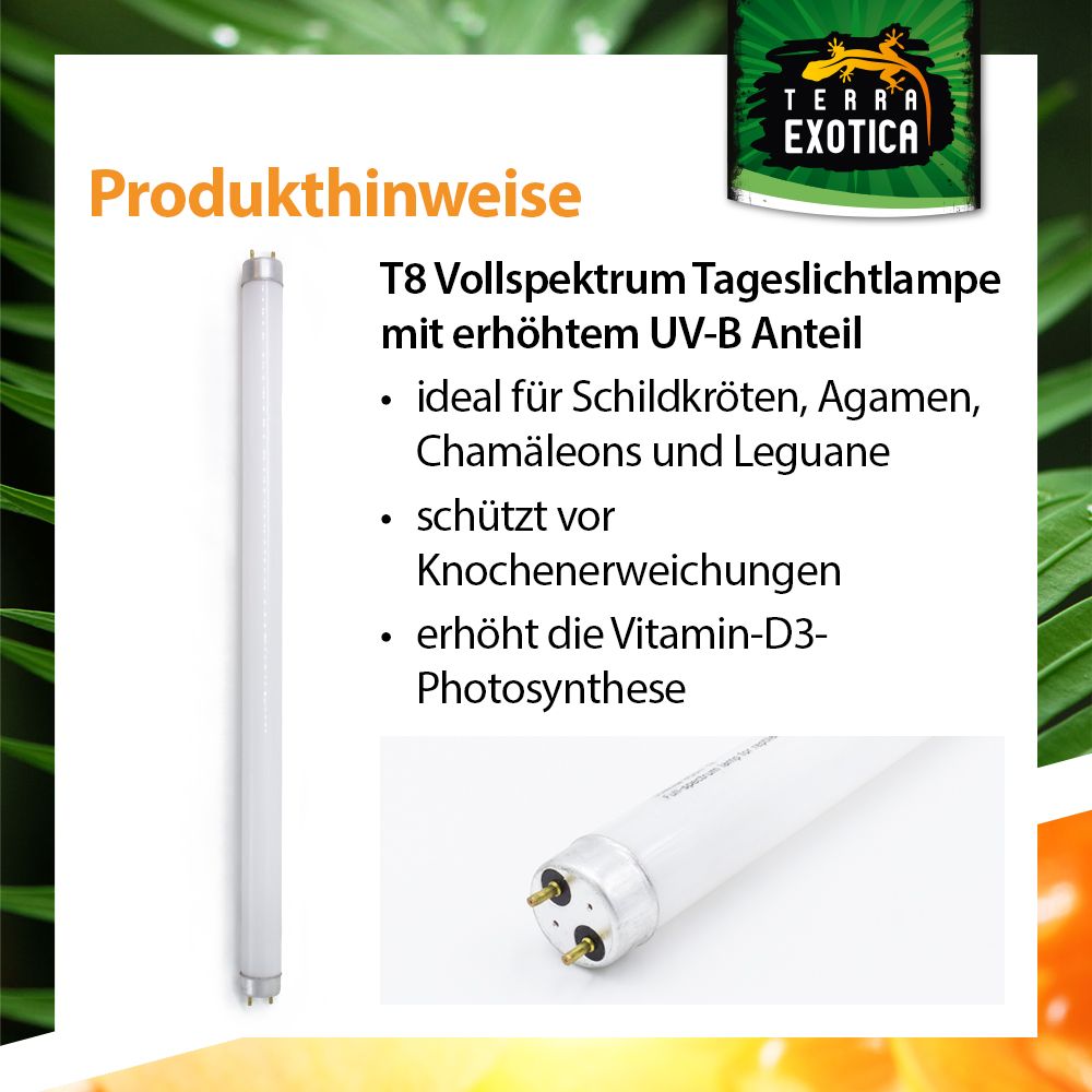 Sunray UVB 6.0 - Leuchtstoffröhre - 15-36 Watt